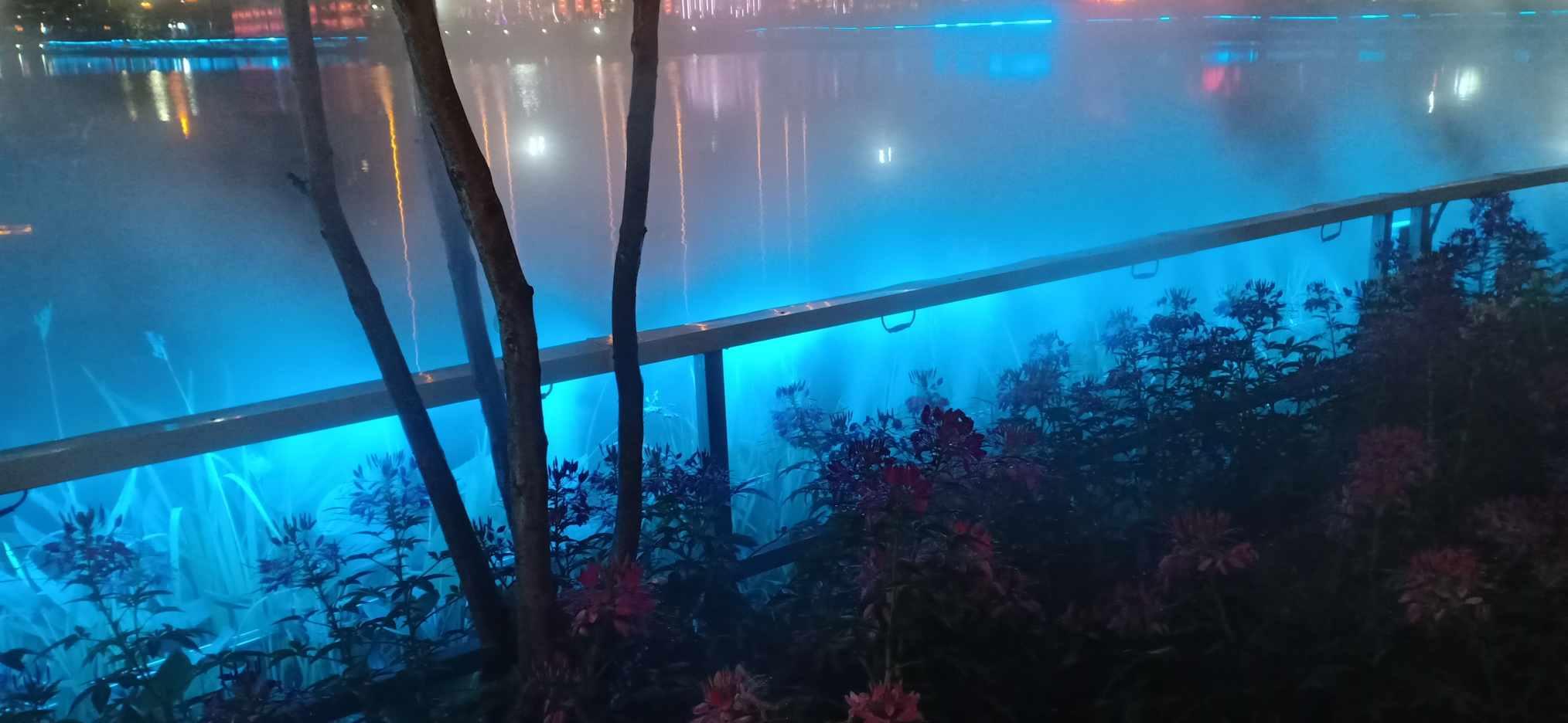快问快答,尽在腌鸭蛋时,直接裹盐可不行,按照这个方法做,鸭蛋个个起沙流油蜗牛问答平台